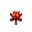 crimson_fungus